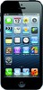 Apple iPhone 5 16GB - Таганрог